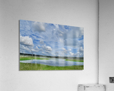 500 0041 Acrylic Print