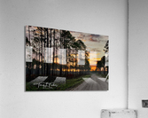 IMG 2834 Acrylic Print