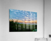 DSC 3808 Acrylic Print