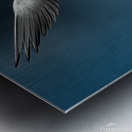 Tern on the hunt Metal print