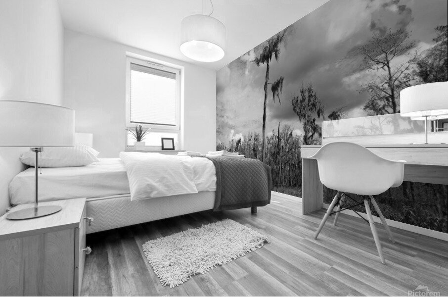 500 0043 Mural print