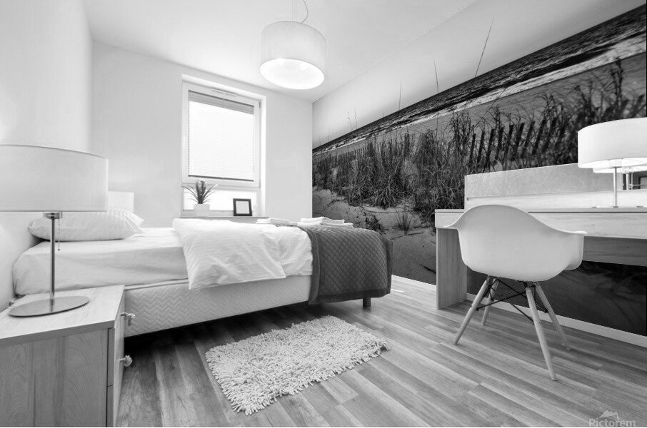 500 0127 Mural print