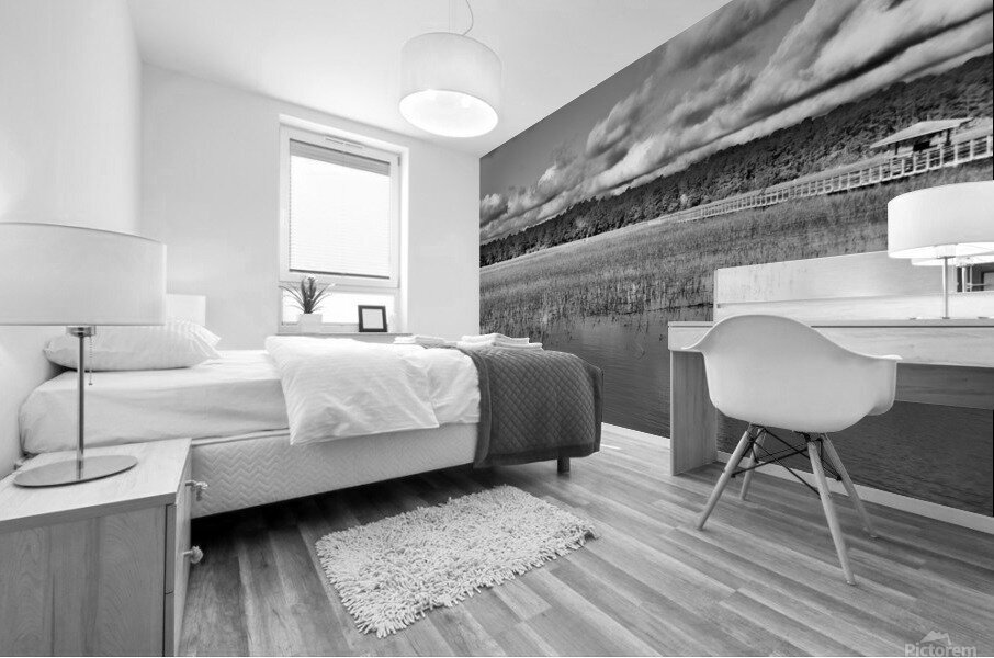 500 0198 Mural print