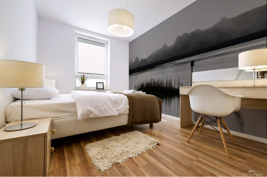 500 0056 Mural print
