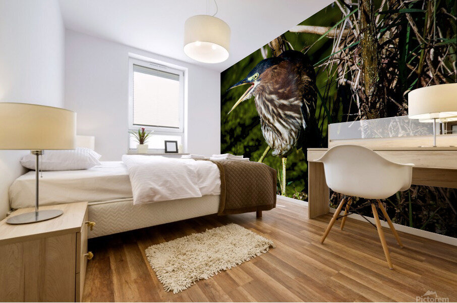 500 0024 Mural print