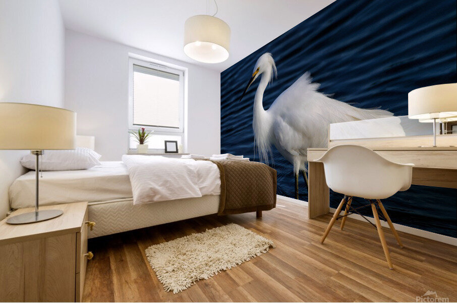 500 0086 Mural print