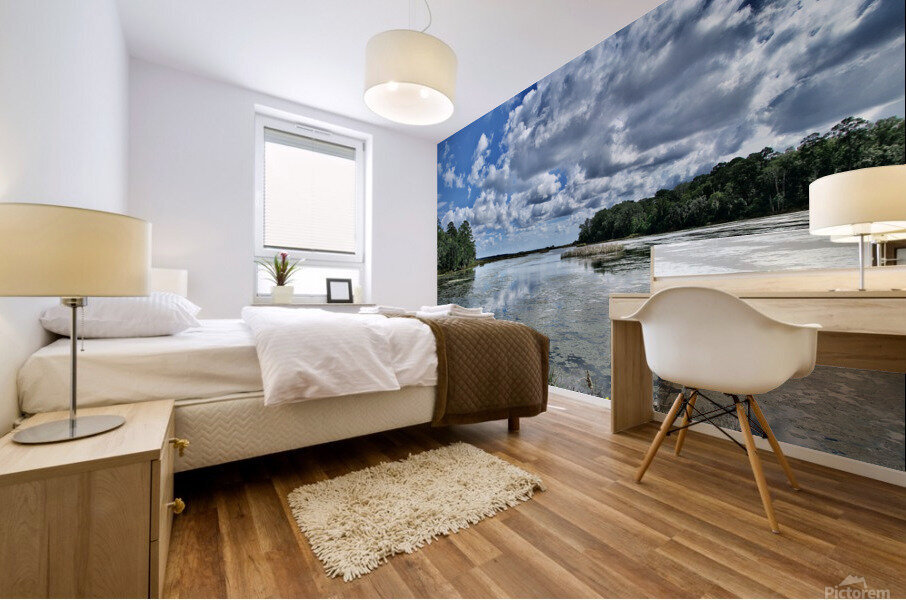 500 0035 Mural print