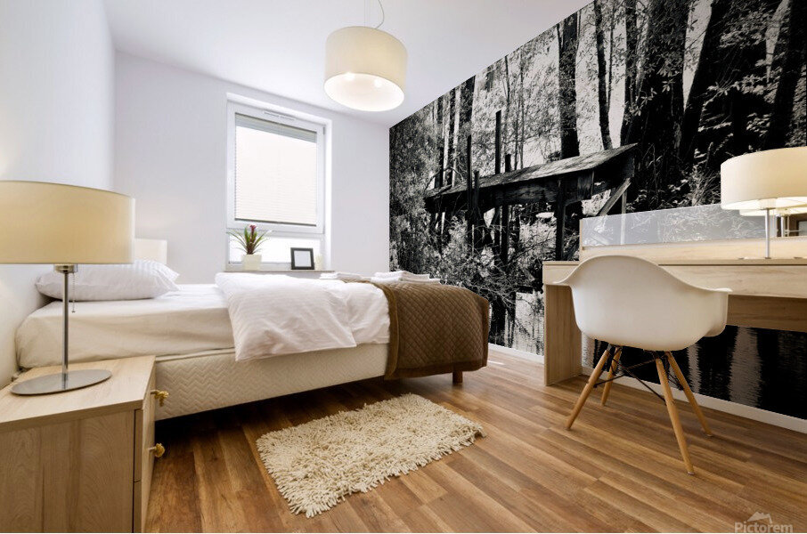 500 0764 Mural print