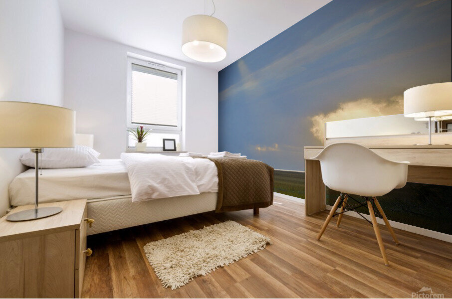 500 0337 Mural print