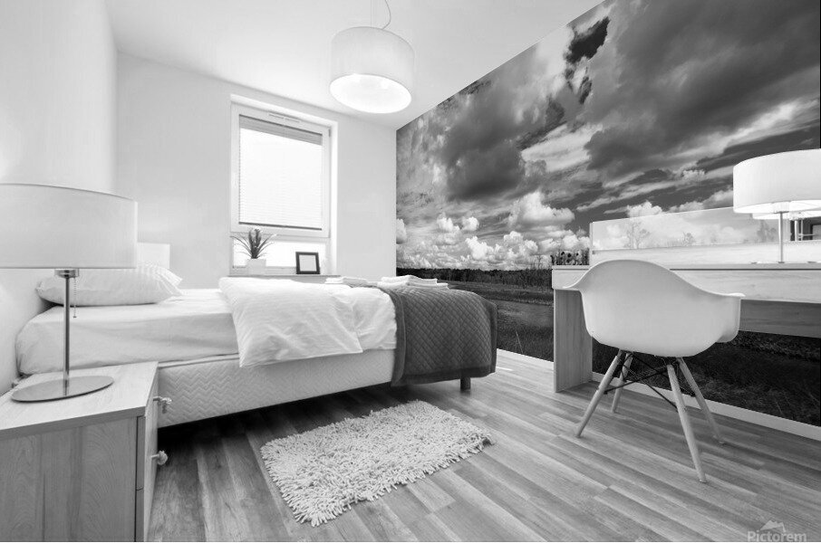 500 0042 Mural print