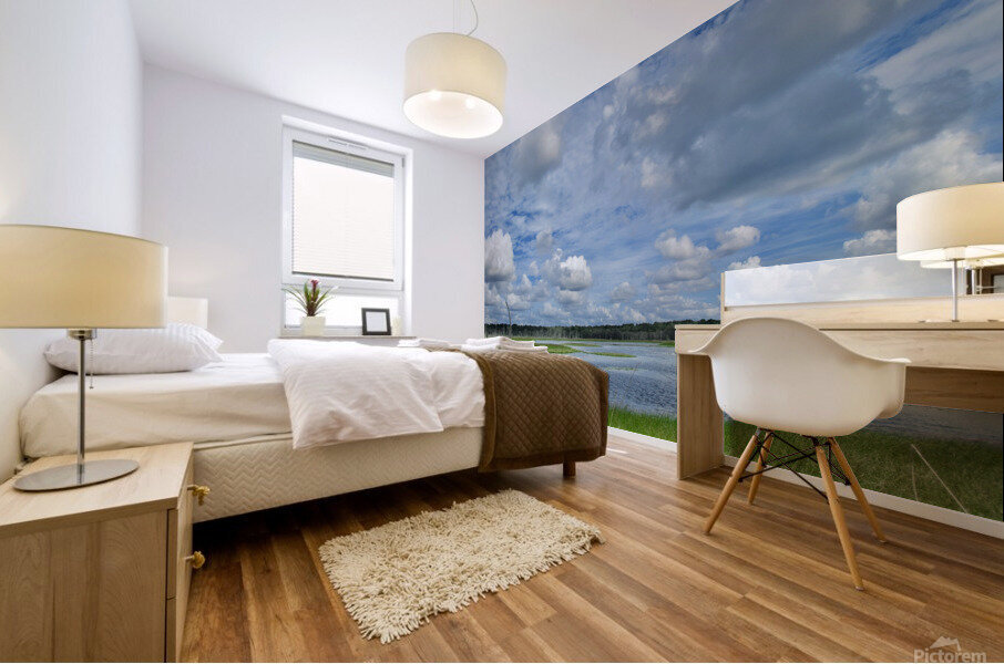 500 0041 Mural print
