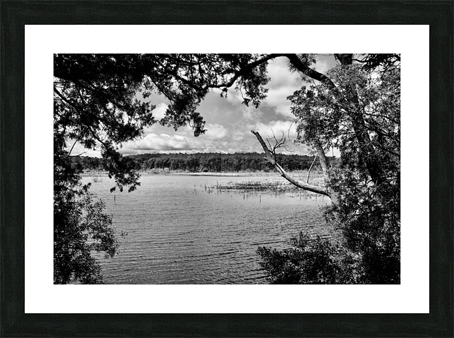 DSC 2733 Picture Frame print