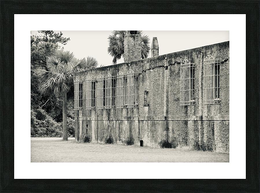 DSC 2765 Picture Frame print