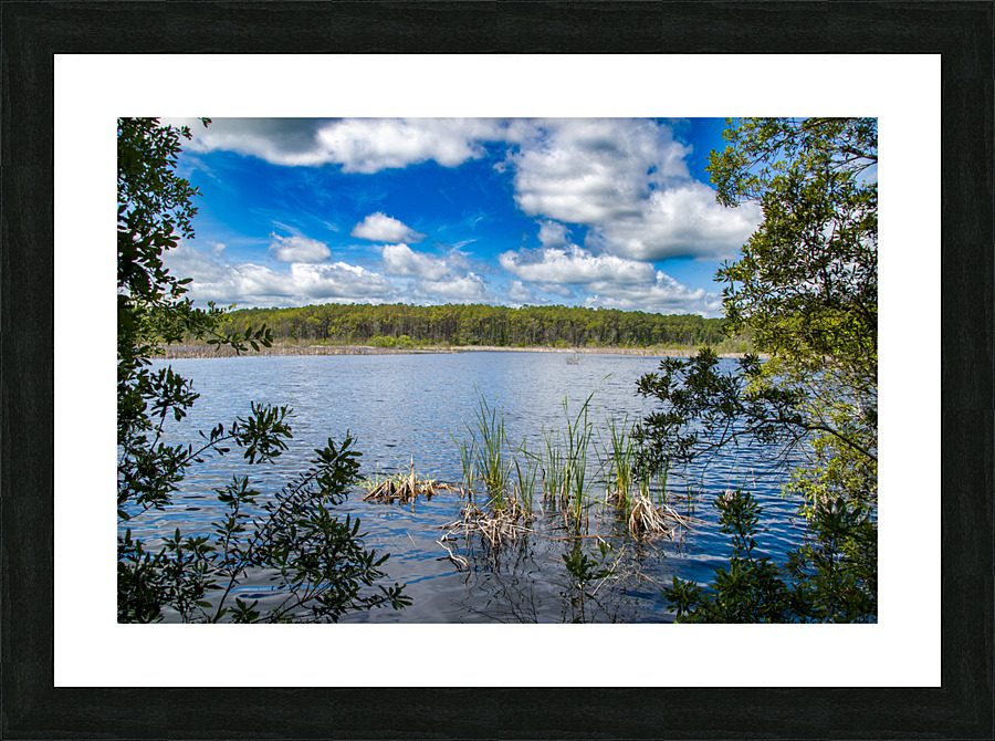 DSC 2731 Picture Frame print