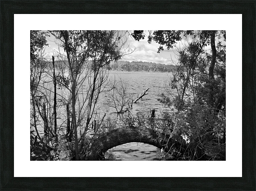 DSC 2730 Picture Frame print