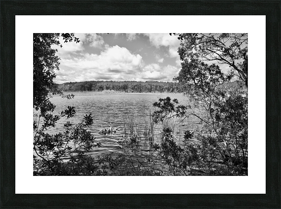 DSC 2755 Picture Frame print