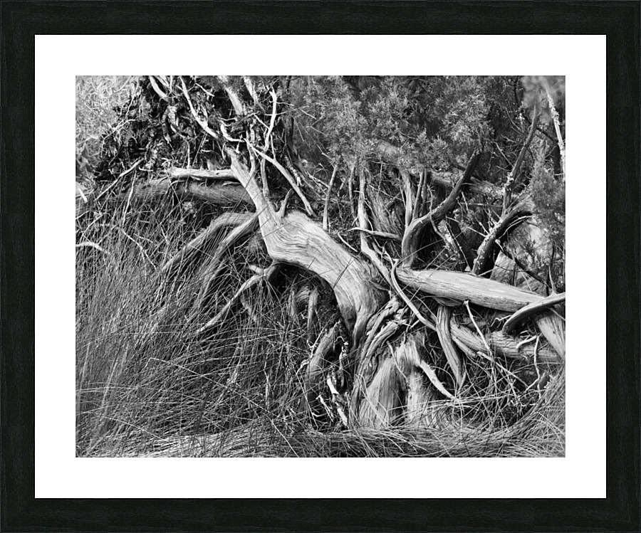 500 0019 Picture Frame print