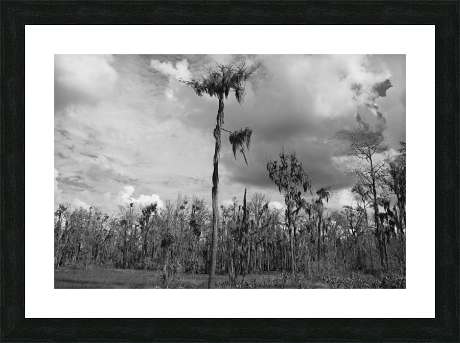 500 0043 Picture Frame print