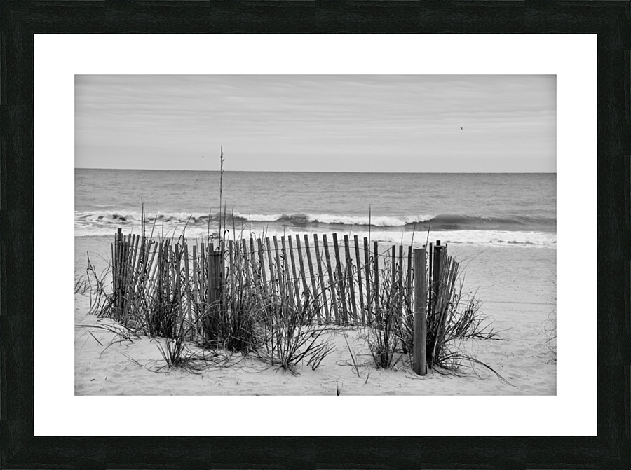 500 0635 Picture Frame print