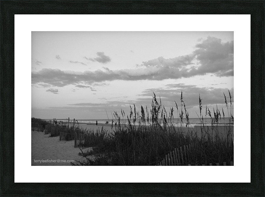 DSC 0092 Picture Frame print