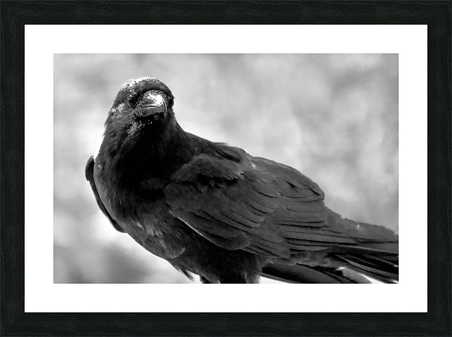 500 0183 Picture Frame print