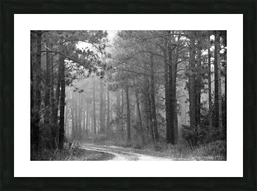 DSC 0002 Picture Frame print