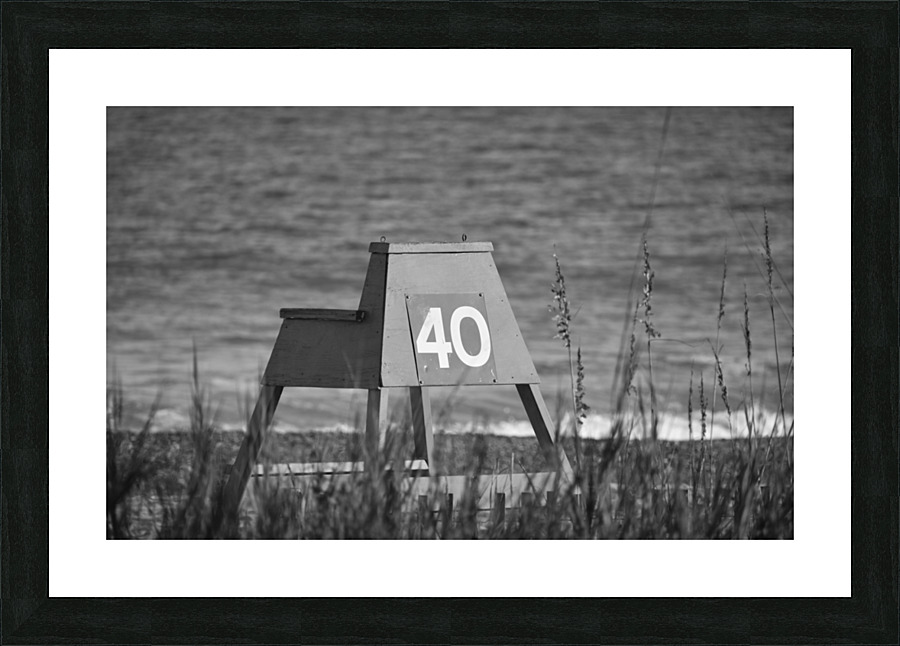 DSC 0088 Picture Frame print