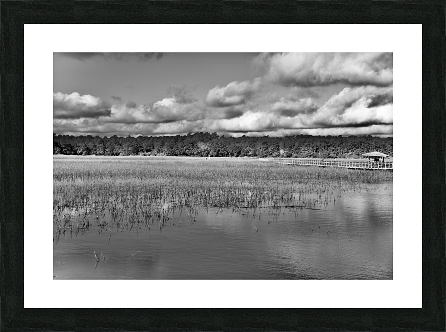 500 0198 Picture Frame print