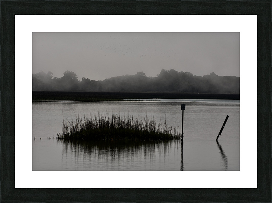 500 0056 Picture Frame print