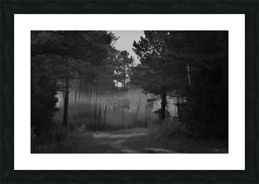 DSC 0102 Picture Frame print