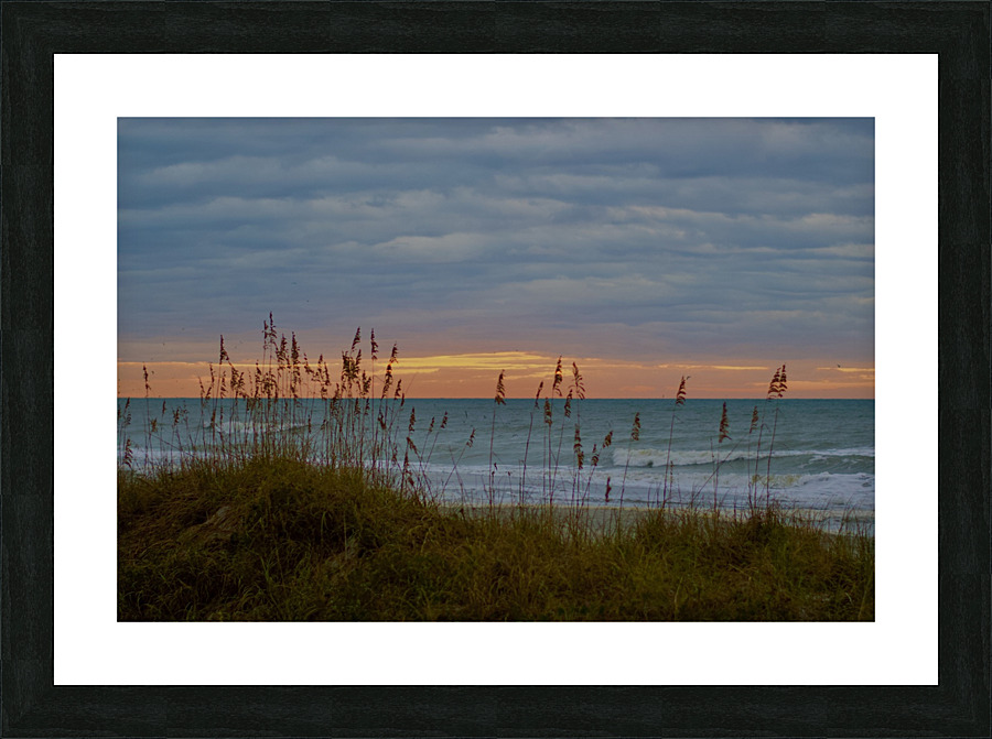 500 0005 Picture Frame print