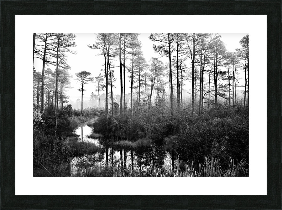 500 0141 Picture Frame print