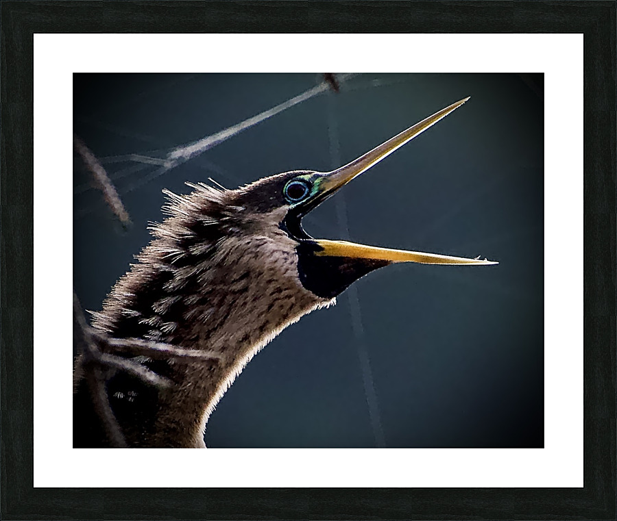 500 0045 Picture Frame print