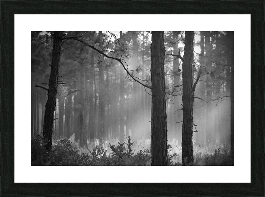 500 1787 Picture Frame print