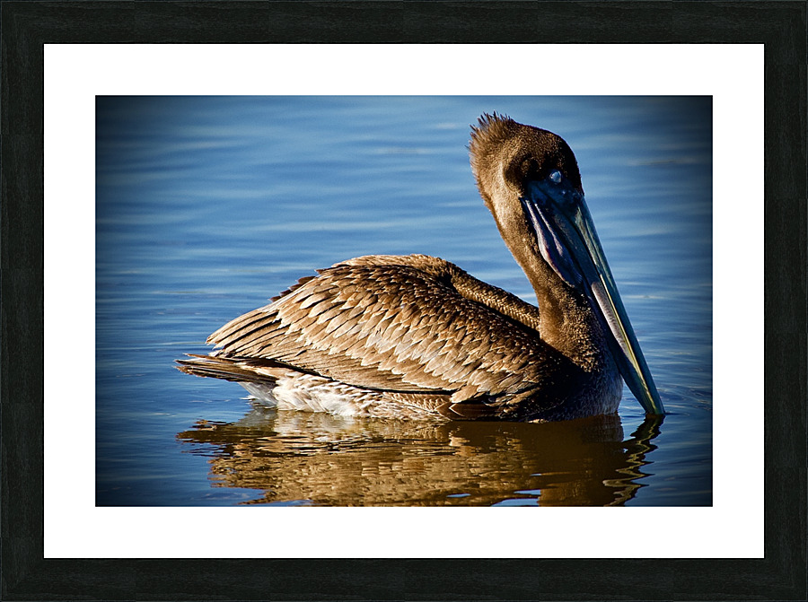 500 0202 Picture Frame print