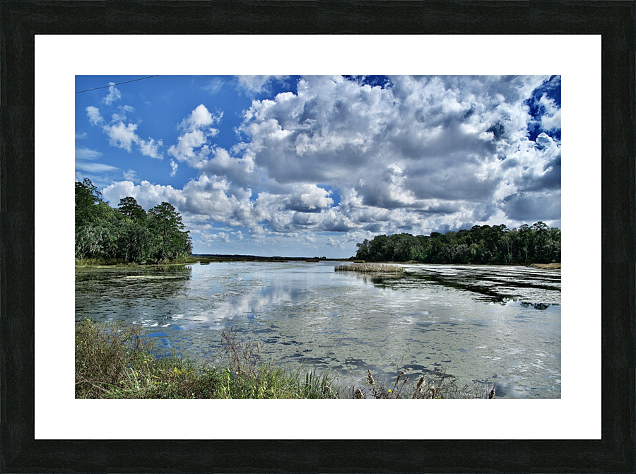 500 0035 Picture Frame print