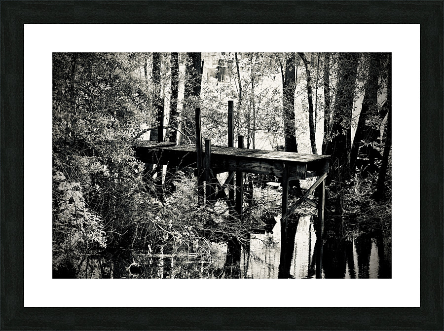 500 0764 Picture Frame print