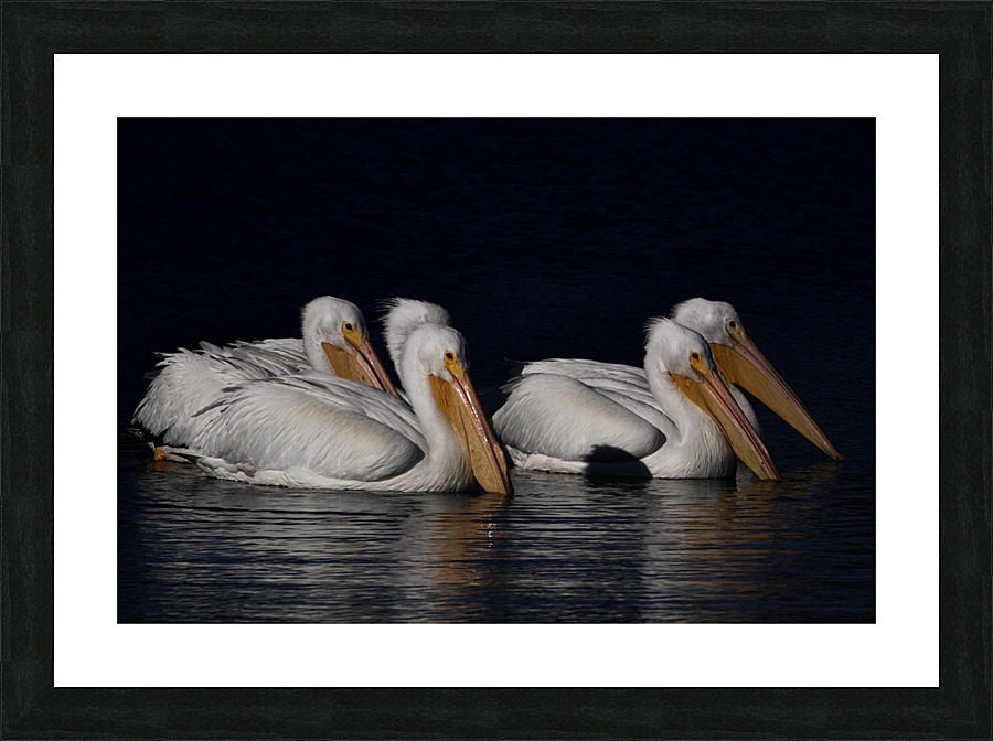 500 0010 Picture Frame print