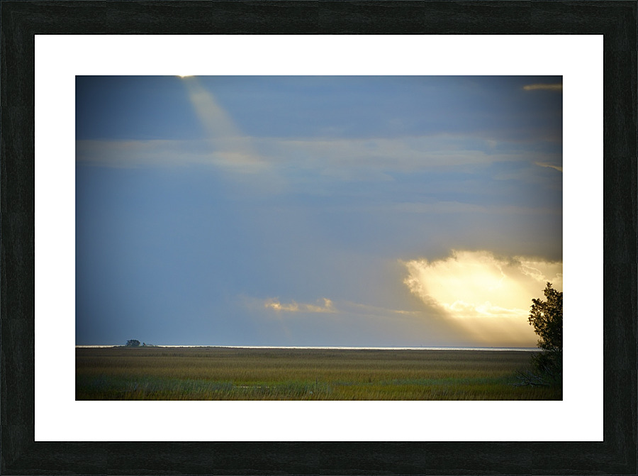 500 0337 Picture Frame print