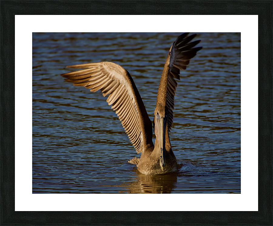 500 0214 Picture Frame print