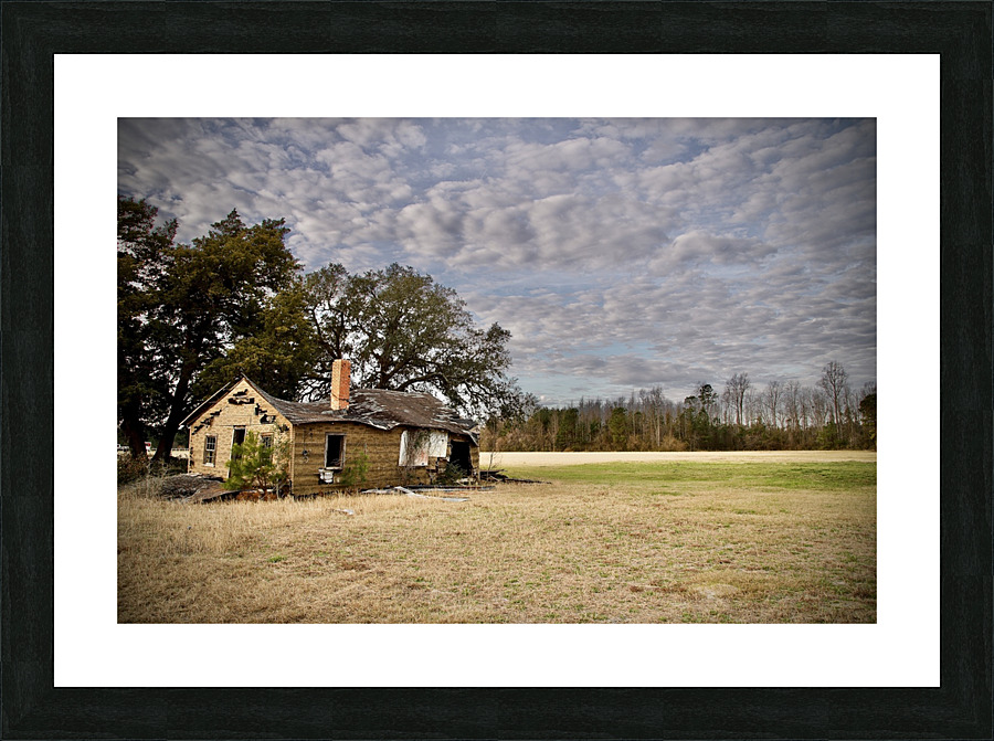 500 0488 Picture Frame print