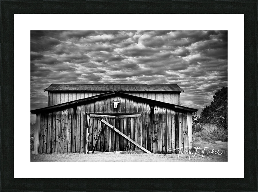 IMG 2520 Picture Frame print