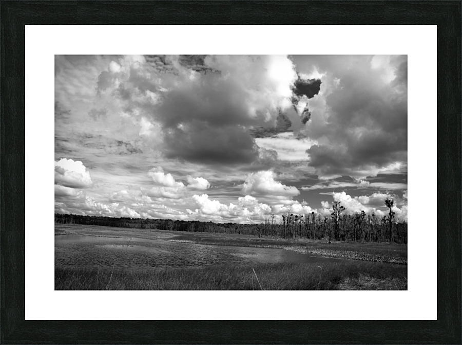 500 0042 Picture Frame print
