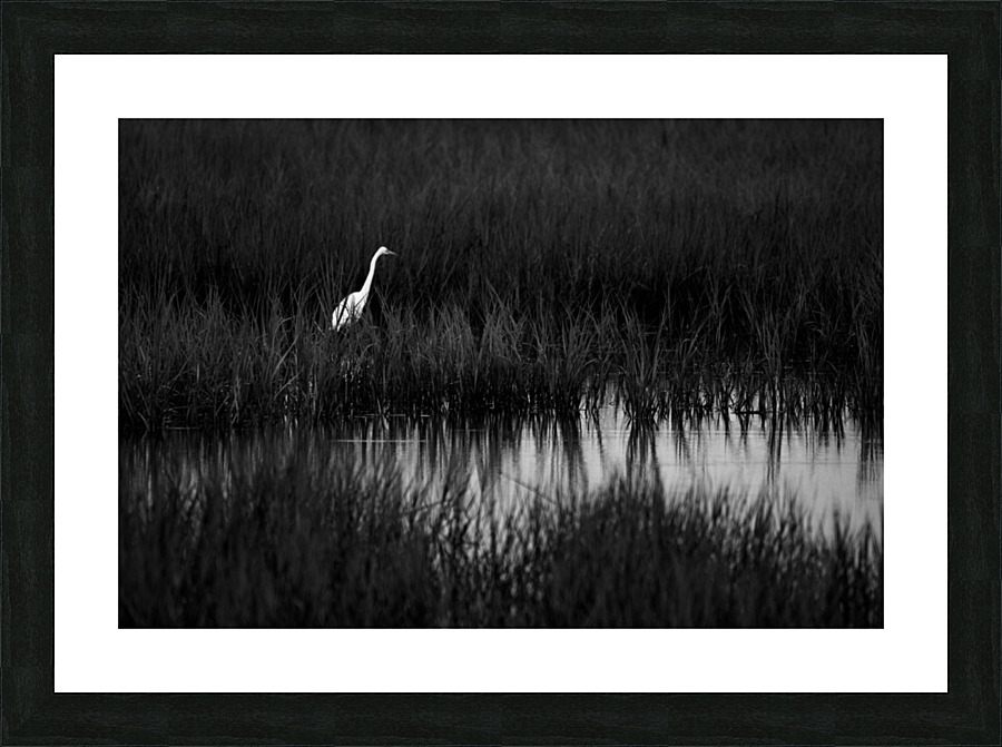 500 0256 Picture Frame print