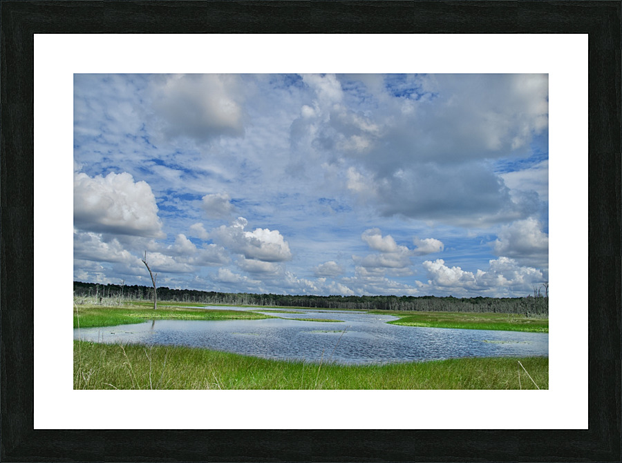 500 0041 Picture Frame print