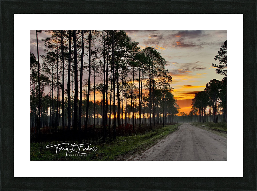 IMG 2834 Picture Frame print
