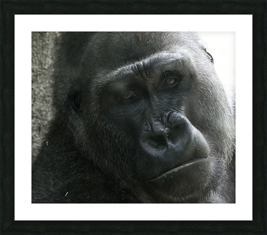 DSC 3061 Picture Frame print