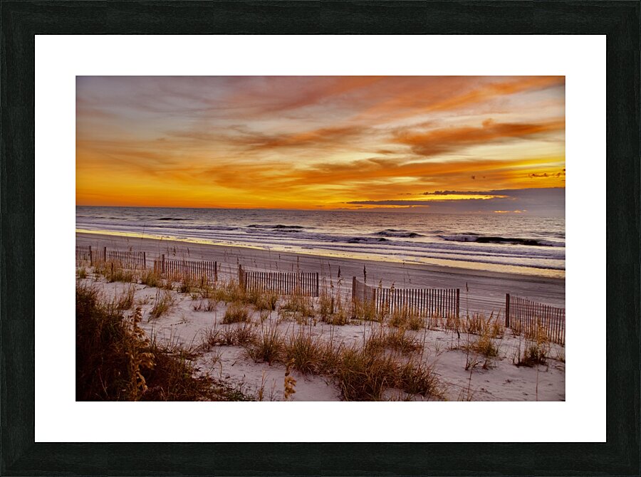 DSC 5028 Picture Frame print