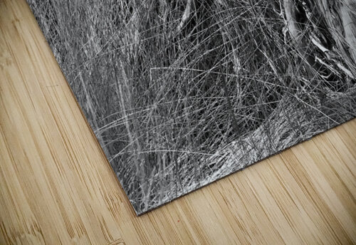 500 0019 Terry L Fisher puzzle