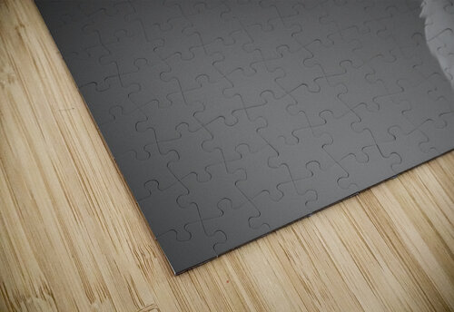 500 0273 Terry L Fisher puzzle